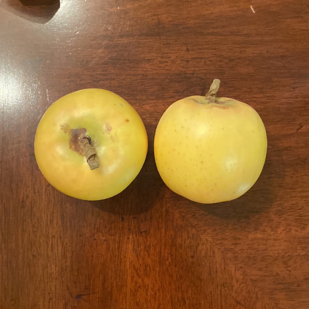 Fake Fruit - Picture 2 of 5